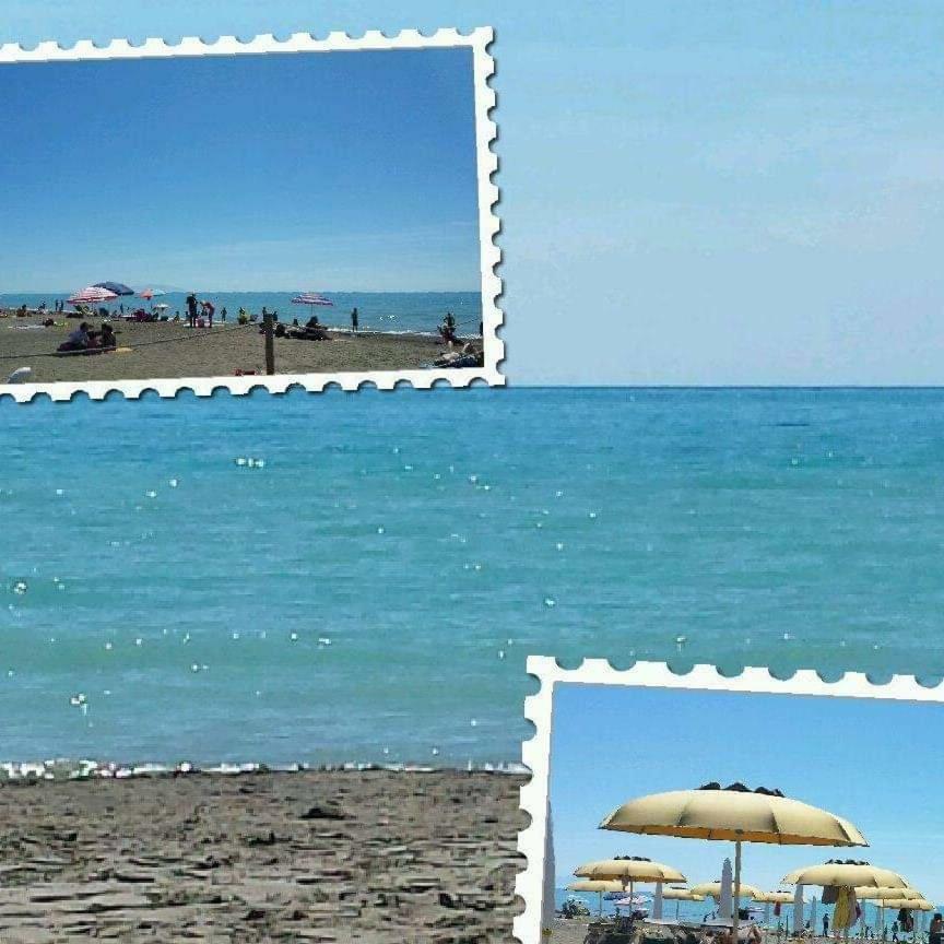 Agriturismo Greppo All'Olivo Donoratico Εξωτερικό φωτογραφία