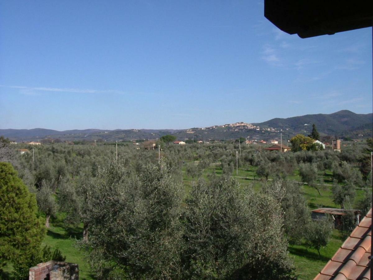 Agriturismo Greppo All'Olivo Donoratico Εξωτερικό φωτογραφία